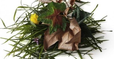 résidus-verts-770x3242