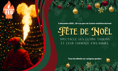 spectacle-lutin-feu-noel